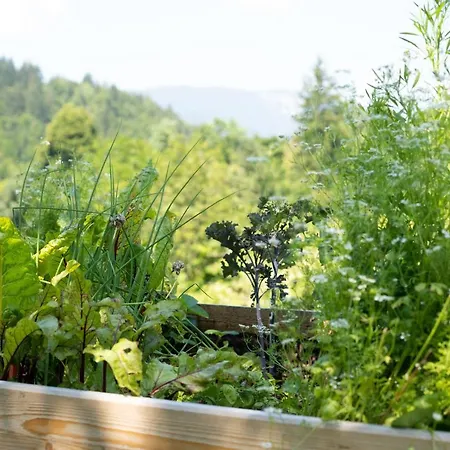 Horse Farm Pr' Kolenc 아파트 *