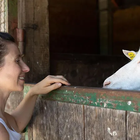 Horse Farm Pr' Kolenc Apartmán