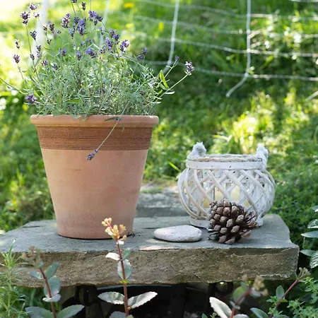 Horse Farm Pr' Kolenc Apartmán *