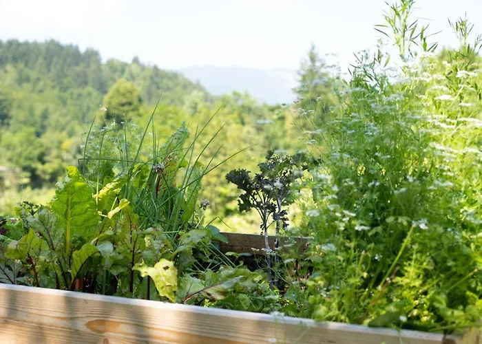 Horse Farm Pr' Kolenc Lägenhet *