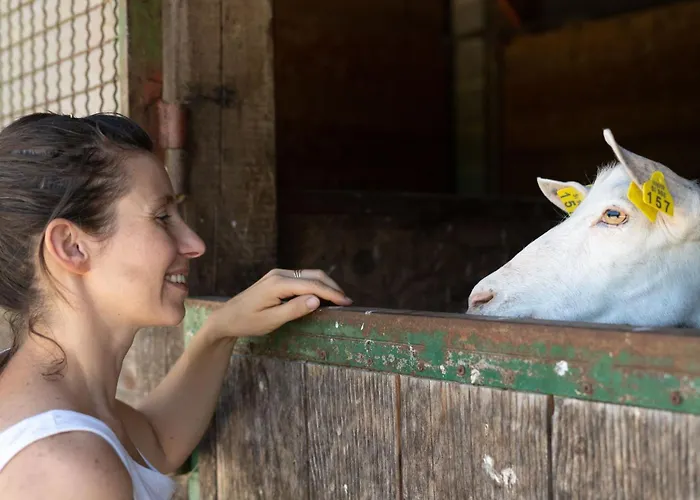 Horse Farm Pr' Kolenc Apartma