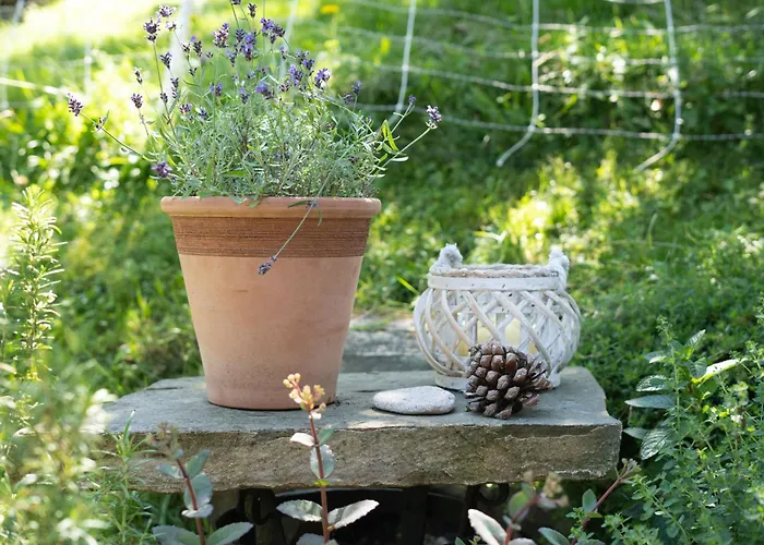 Horse Farm Pr' Kolenc Apartma *