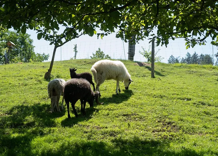 Horse Farm Pr' Kolenc *
